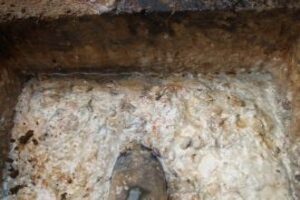 Limpeza caixa de Gordura no sul da ilha Limpeza caixa de Gordura no sul da ilha